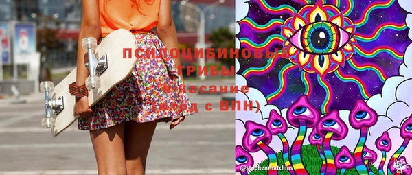 бошки Белокуриха