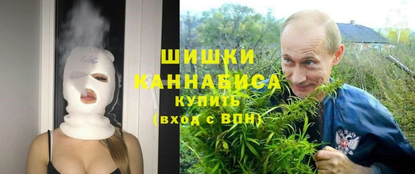 бошки Белокуриха